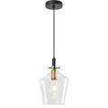 Contemporary Farmhouse Bottle Glass Hanging Pendant Light