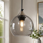 Adjustable Cord Single Hanging Modern Globe Glass Pendant Light